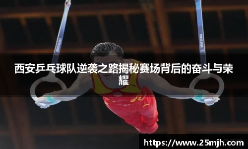 西安乒乓球队逆袭之路揭秘赛场背后的奋斗与荣耀